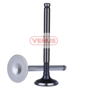 Engine_valve